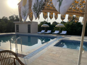 Paridhi Niwas, Ranthambore- near Tiger Safari Zones 1-5